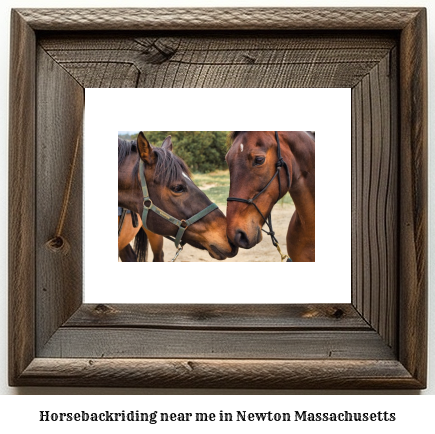 horseback riding near me in Newton, Massachusetts